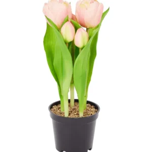 Merk Kunstplanten & -Bloemen>Home Accents Kunsttulpen In Pot