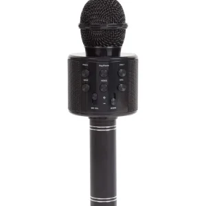 Lab31 Multimedia Accessoires>Karaoke-Microfoon