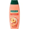 Palmolive Haarverzorging> Naturals 2-In-1 Shampoo Hydra Balance